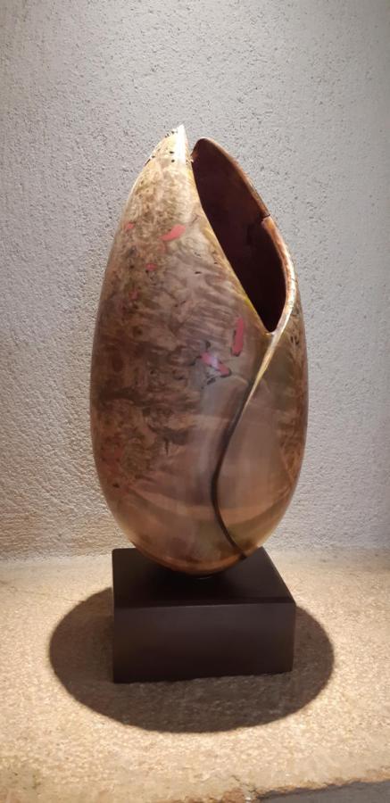 Gite Stone & Spa Chasselay Zewnętrze zdjęcie