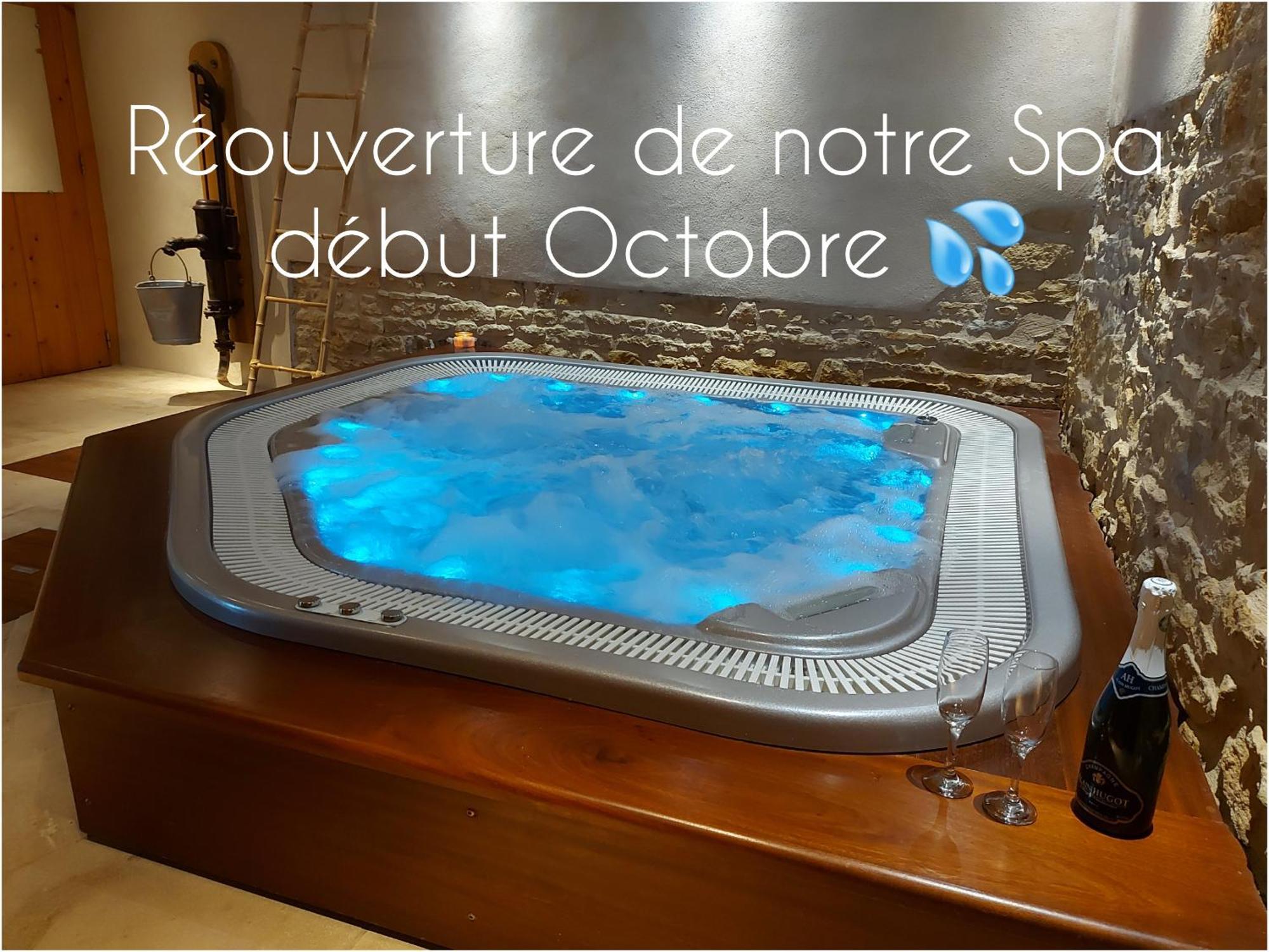 Gite Stone & Spa Chasselay Zewnętrze zdjęcie